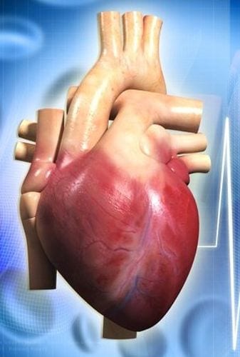 Arriva il cerotto bionico in grado di riparare il cuore