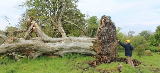 Orribile scoperta in Irlanda. Il maltempo porta alla luce una storia macabra