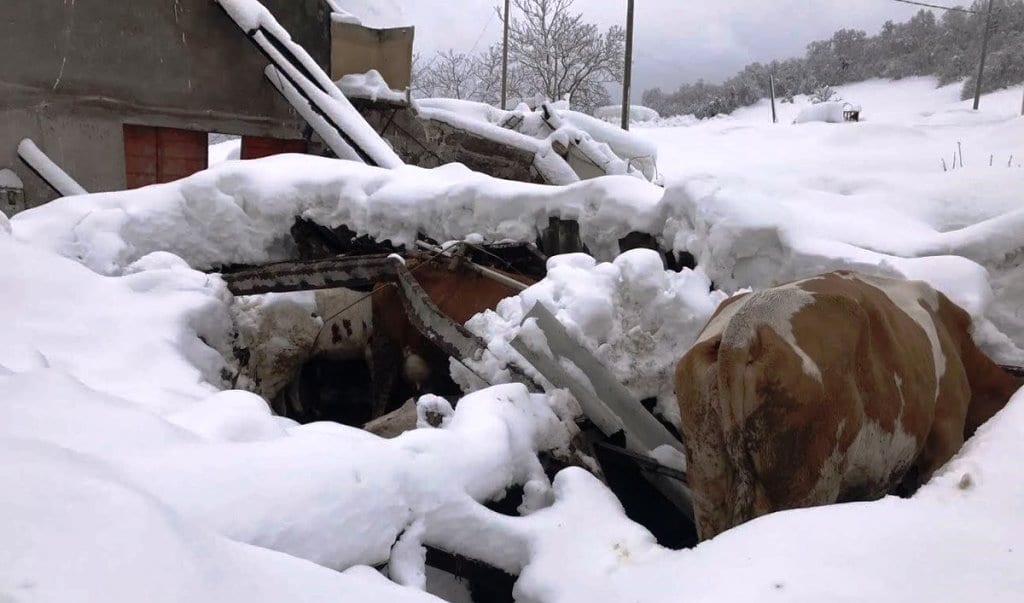 Terremoto Centro Italia, 4 scosse violente in 3 ore. "Troppa neve, non si può scappare" [VIDEO]