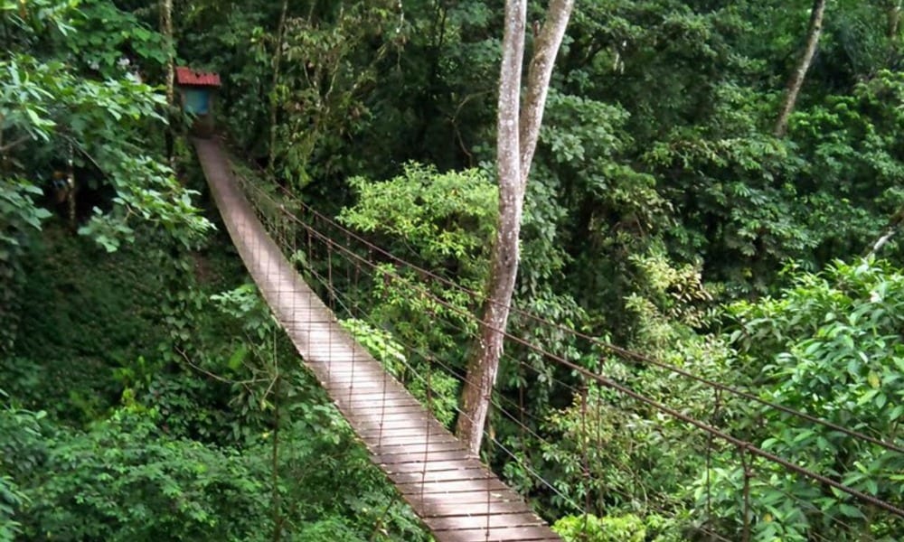 Colombia: crolla un ponte sospeso, strage di turisti