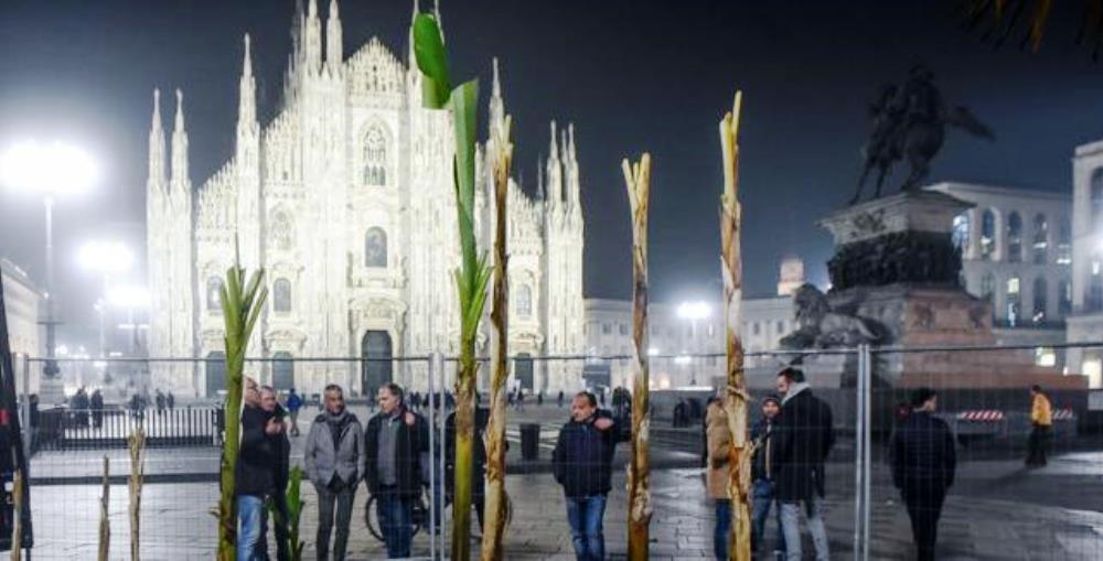 Milano, piazza Duomo: dopo le palme arrivano i banani [VIDEO]