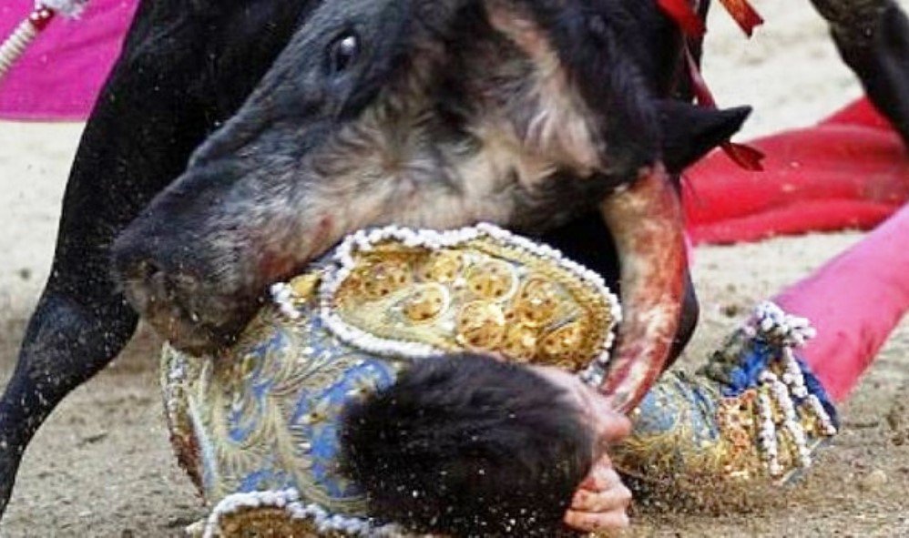 Spagna, tragedia alla corrida: torero incornato alla gola dal toro [VIDEO, IMMAGINI FORTI]