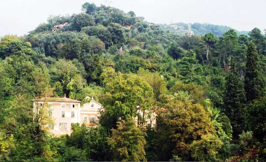 Giallo nella Villa d'epoca in Toscana: fratricidio all'ombra dell'eredità milionaria?