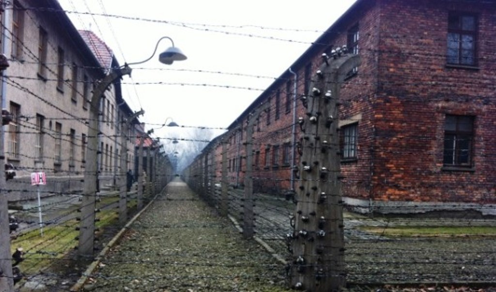 Rimini, scrive motto Auschwitz in ditta. Cosa è successo?