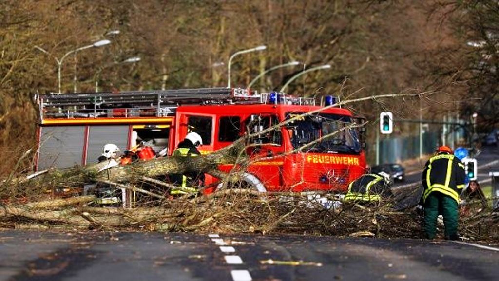 Friederike, la tempesta spazza l'Europa e semina morte: almeno 9 vittime